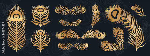 Peacock feather vintage style set. Art deco, nouveau 1920-1930 design.