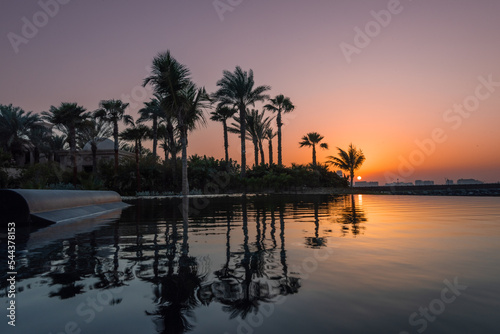Sunset and palm trees with reflection in the pool.