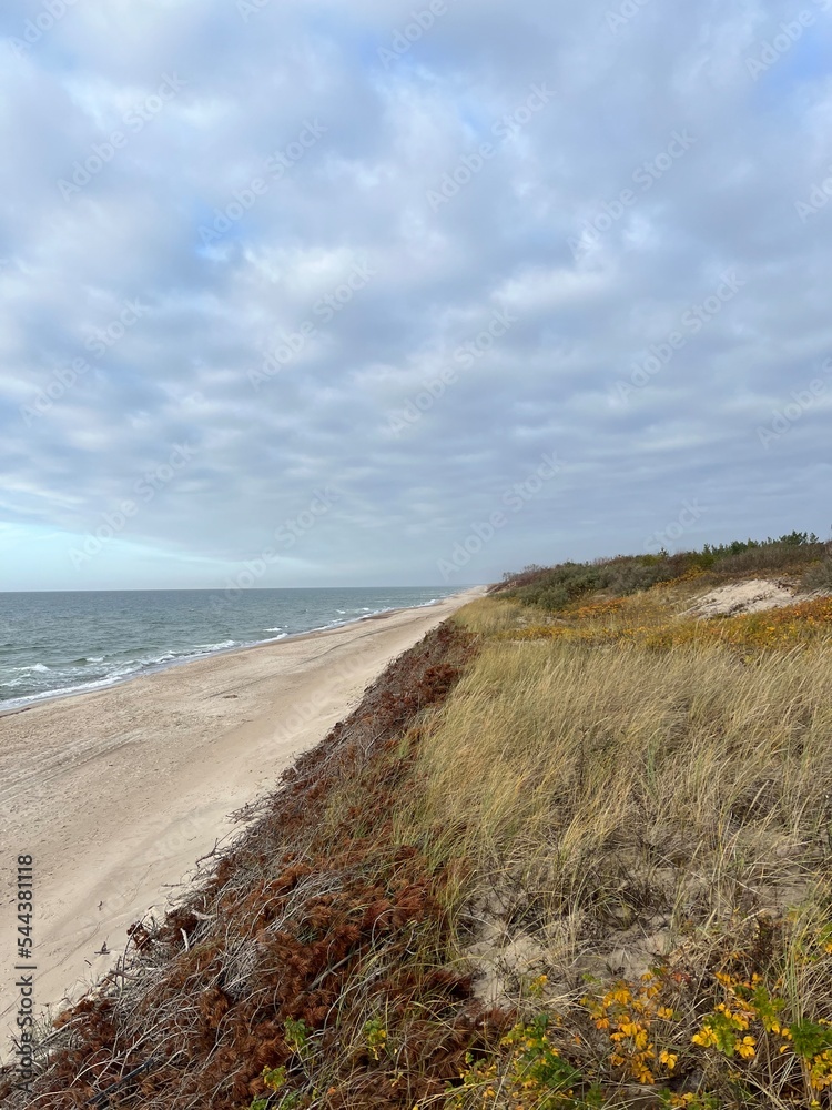 Remote white sand beach and sea