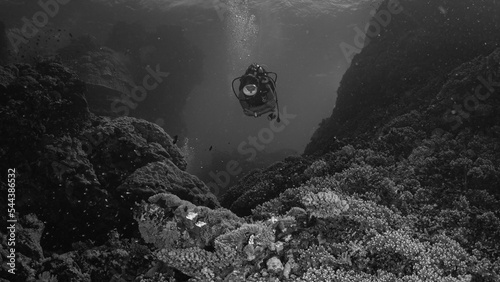 Taucherin mit Retromaske im Korallenriff in schwarz   wei  