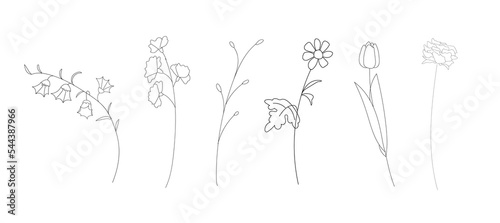 Set of wild Flowers and vase line drawing vector art for decoration	