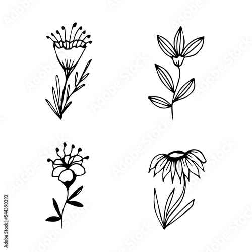 collection of hand drawn botanical flower doodle elements for floral design concept