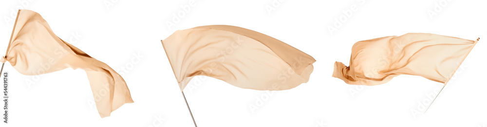 Fototapeta premium feather on white background