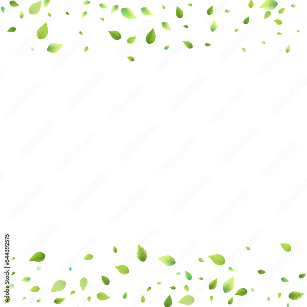 Leaves Green Falling Flying Foliage Leaf Tea Mint Leaves Green Falling Flying Foliage Leaf Tea Mint
