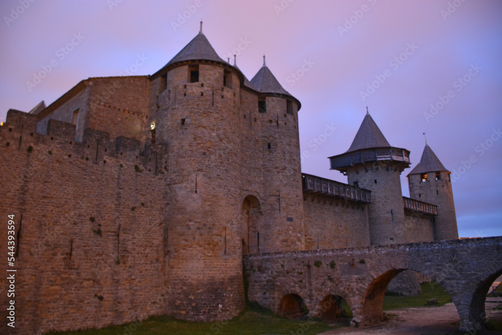 Cité de Carcassonne - Occitanie - France
