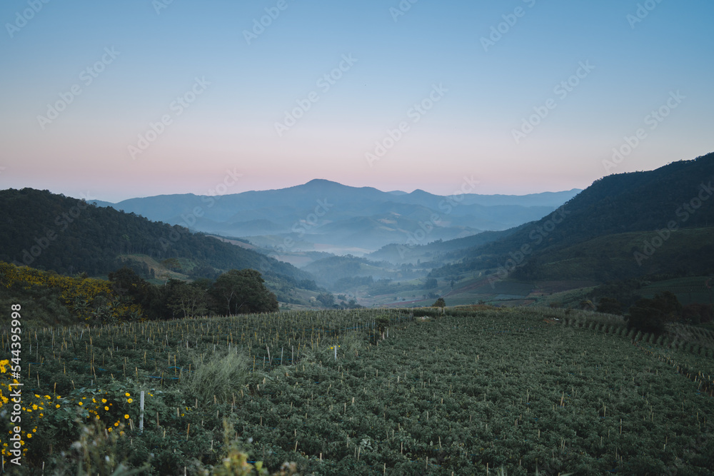 Obraz premium misty morning in the mountains