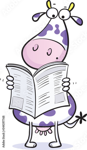 Cartoon of a fun cute cow character reading a newspaper  isolated on white