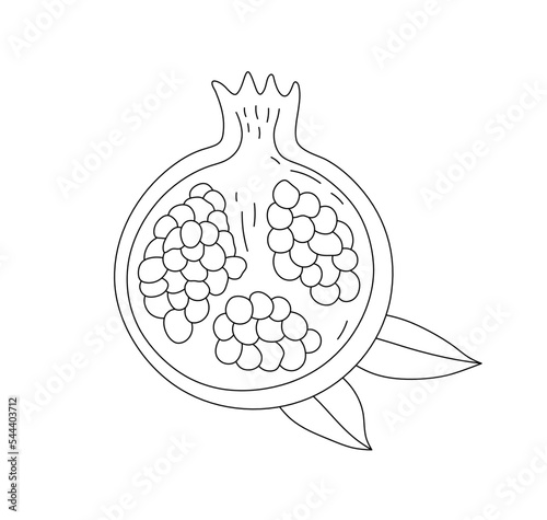 Vector isolated one pomegranate fruit with seeds cut in half colorless black and white contour line easy drawing