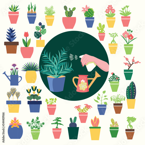 houseplants  icons and Hand holding Spray Bottle