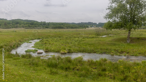 Stream in Rold Skov Forest