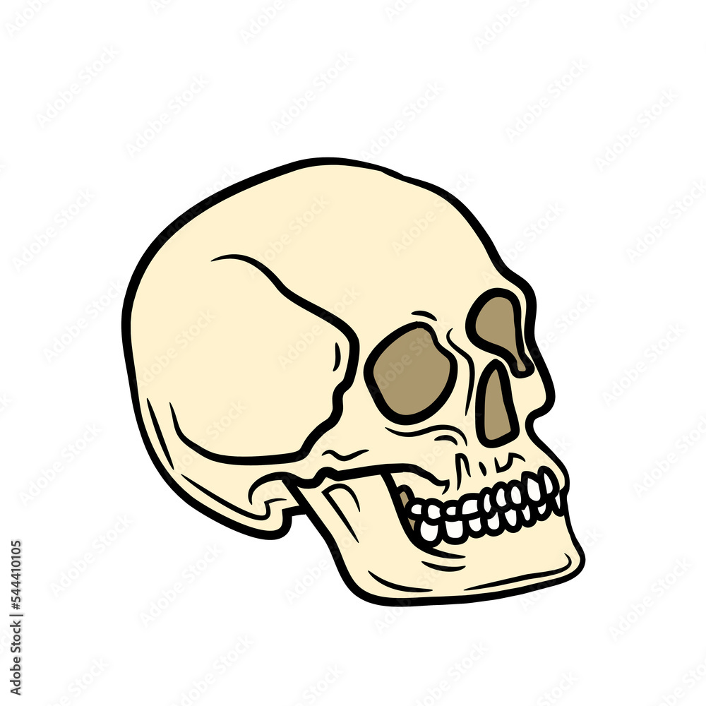 Skull Png Format With Transparent Background Skull Png Format With Transparent Background