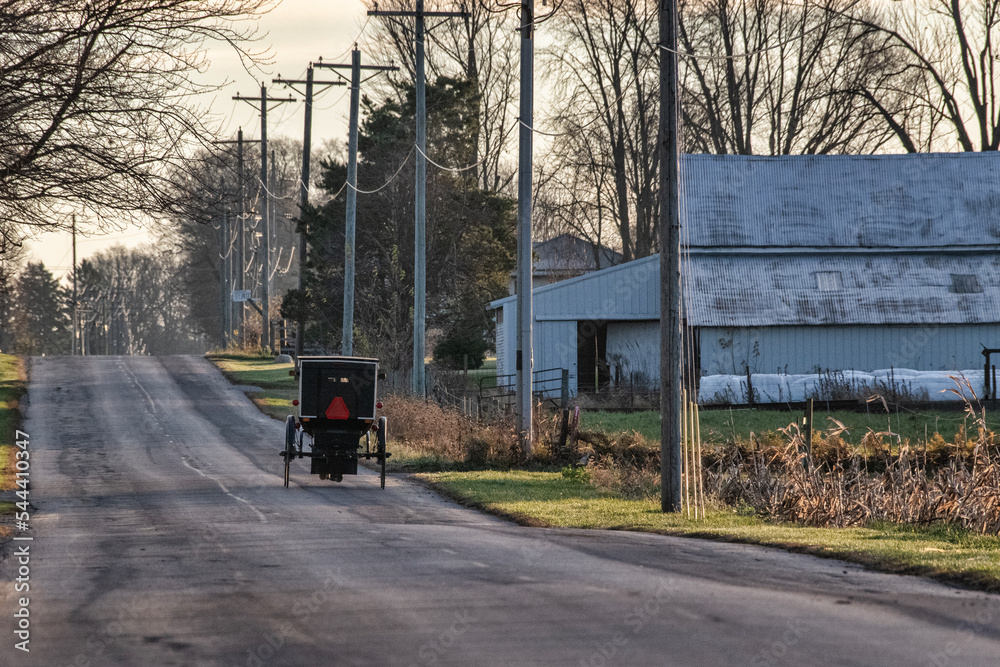 Amish buggy on rural road. Amish buggy on rural road.