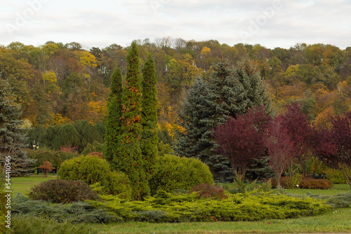 Flowerbed in the park green background