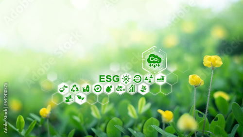 Blurred yellow flower background and ESG concept of environmental, social and governance and impact investing. sustainable, funds, internet of thing, energy, ai, free space for text.