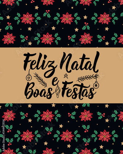 Christmas card. Feliz Natal e boas festas. Merry Christmas and Happy Holidays in Portuguese. Holidays lettering. Ink illustration. Modern brush calligraphy.