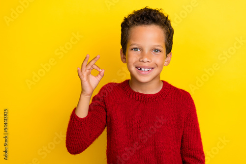 Photo portrait of charming small schoolboy show okey sign good job dressed stylish red knitted garment isolated on yellow color background