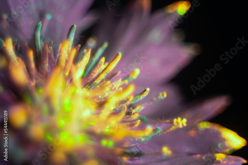 he Internal Revenue Service does not require your consent to any provisions of this document other than the certifications required to establish your status as a non-U.S. person, establish your chapte