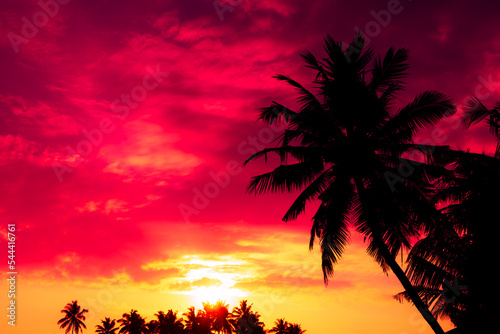 Fototapeta Naklejka Na Ścianę i Meble -  Coconut palm trees silhouettes at sunset with colorful sky