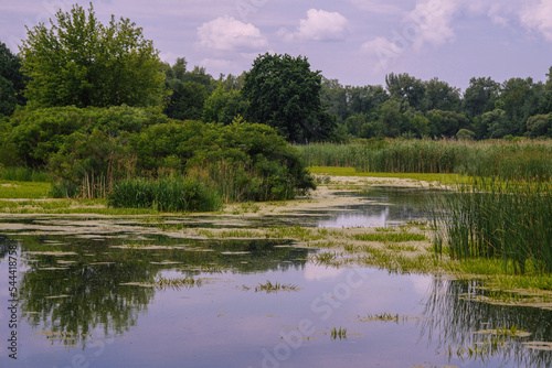Flood meadows