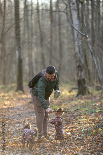 A man walks a dog in an autumn forest park, plays with a stick, drinks coffee in a reusable thermocup