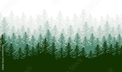 Spruce forest silhouette. Spruce wood silhouette. Spruce tree silhouette