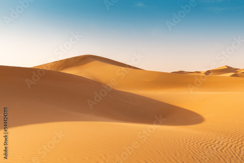 UAE. Desert  landscape