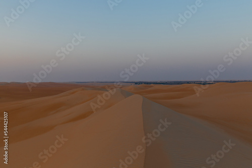 UAE. Desert landscape