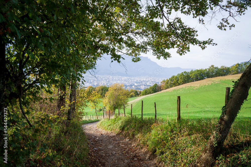 Romage 10 2022 
walk through the fields in the countryside in autumn