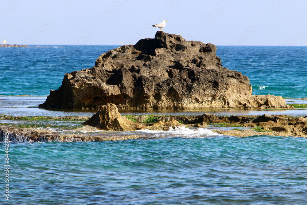 Rocks on the shores of the Mediterranean Sea in northern Israel. Rocks on the shores of the Mediterranean Sea in northern Israel.