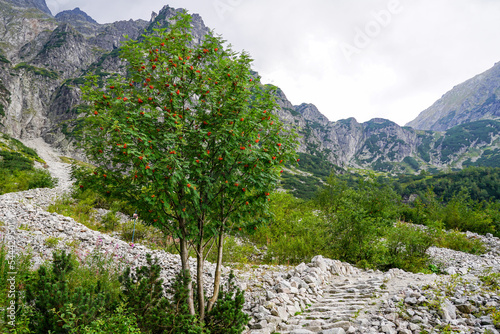 Rocky hiking trail in the Tatra mountains in Poland, stone path