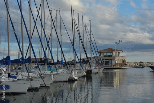 boats in the harbor