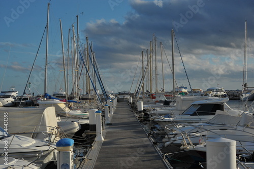 boats in the harbor