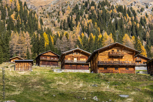 Idyllic group of historic wooden farm houses on a alpine pasture in Austria during autumn