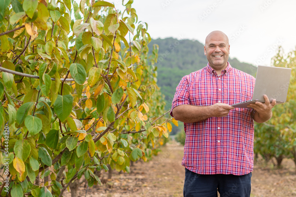 Fototapeta premium Male farmer agronomist smiles at the camera with a laptop in his hand in a field cultivated with persimmons