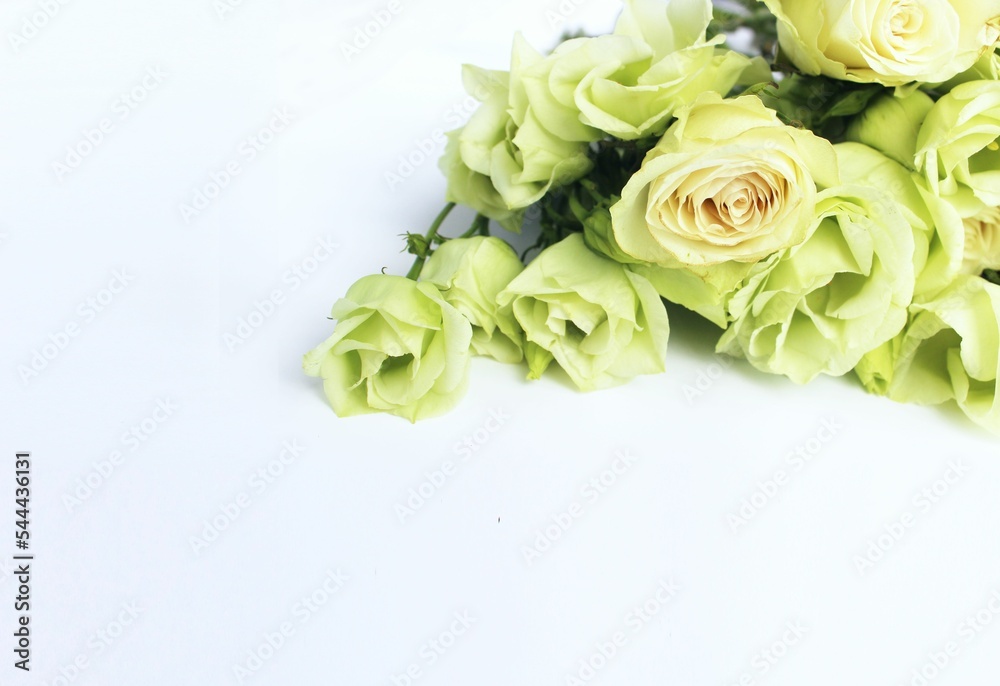 Festive bouquet with eustoms on a white background. Delicate floral arrangement. Background for a greeting card.