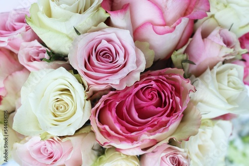 Solid background of white and pink roses. Delicate floral arrangement. Background for a greeting card.