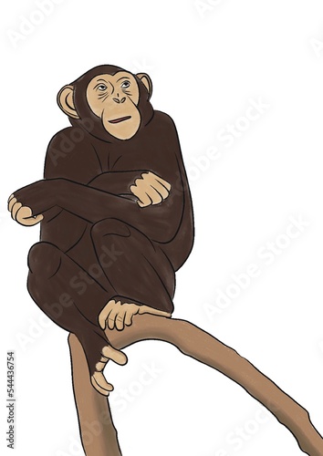 Illustration d’un mammifère brun et beige. Ce singe est assis sur une branche. Cet animal sauvage qu’on peut retrouver dans un  zoo est drôle et mignon.  photo