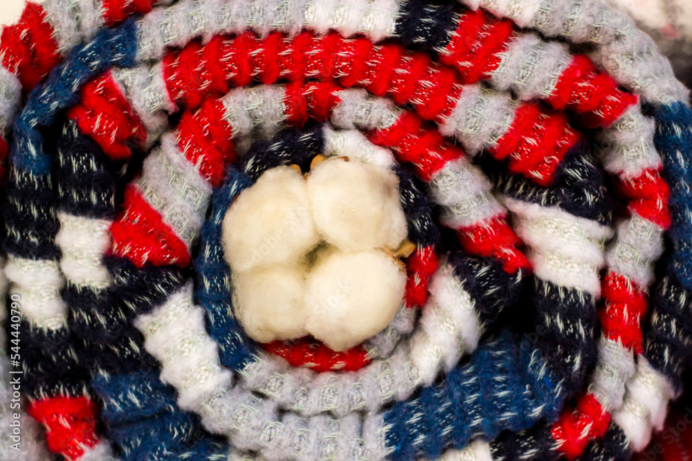 Colorful wool blanket rolled-up into a swirl with a natural cotton boll