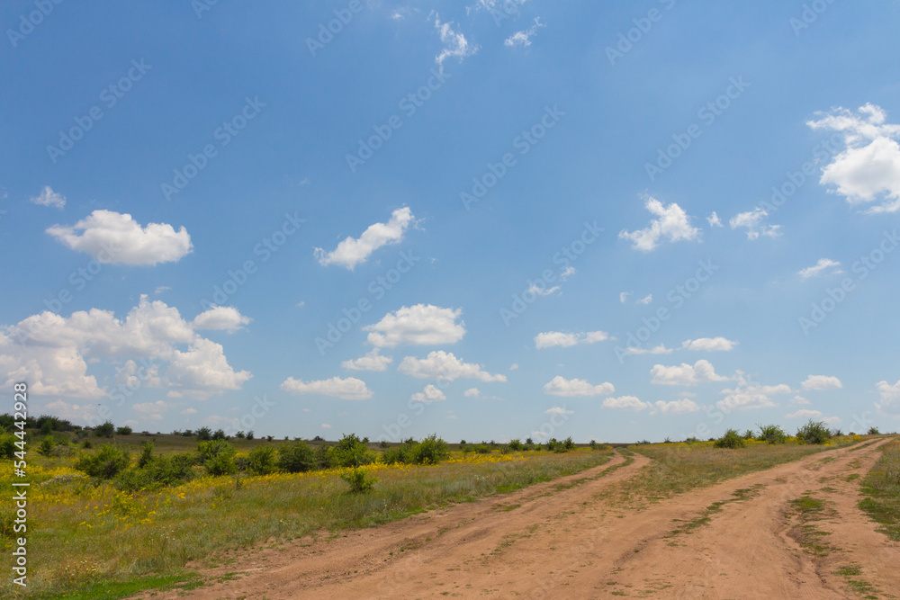 A dirt road in the steppe near the village of Aktove. Mykolayiv region, Ukraine