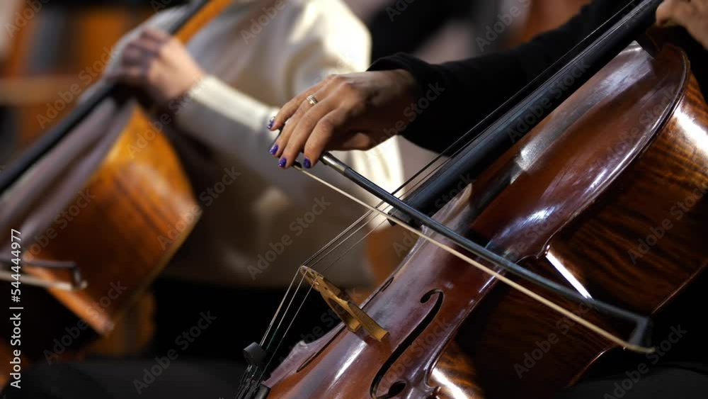 symphony orchestra concert female musician playing cello close-up
concept of developing musical taste classical music
playing stringed classical musical instruments
talented people in art