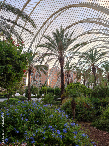 Canvas Print Astronomy Garden, Valencia, Spain