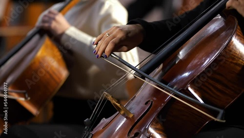 symphony orchestra concert female musician playing cello close-up
concept of developing musical taste classical music
playing stringed classical musical instruments
talented people in art photo