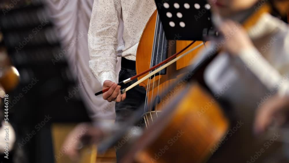 symphony orchestra
refocusing from one member of the orchestra to another
classical music 
playing stringed classical musical instruments talented people in the arts fingers on the strings 
