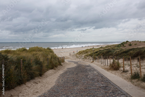 Dune in North Sea, Netherlands. Path to seaside photo