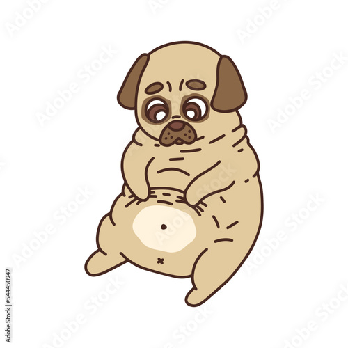 A fat, chubby cute pug. Illustration on a white background.