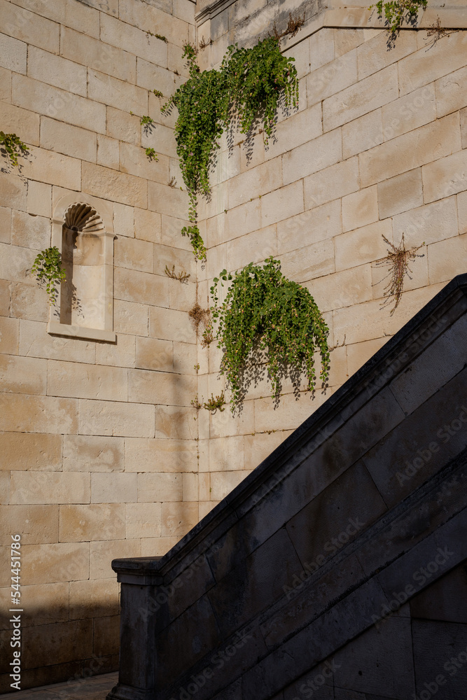 Ancient stone wall with green plants. Textured historical wall in sunlight. Light and shadow.