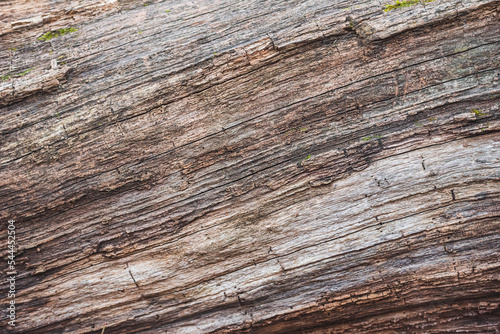 Old wood texture background with cracks. Aged wood texture background