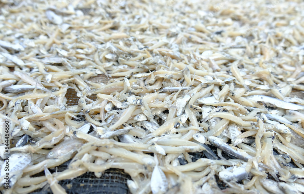 Small dried salted fish. Dried salted fish in abundance in the sun Small dried salted fish. Dried salted fish in abundance in the sun