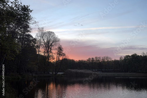 am jungfernheidesee photo