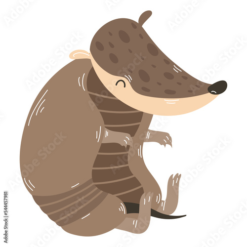 cute little armadillo animal